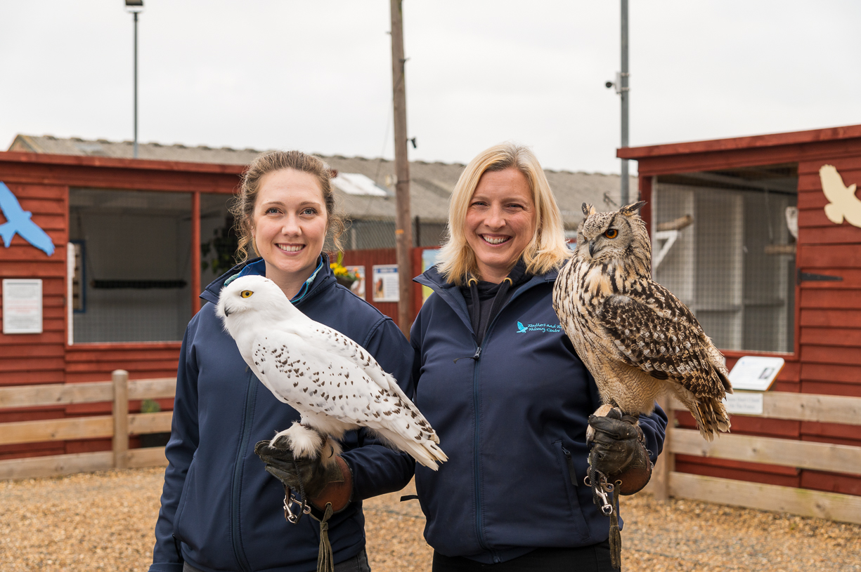 Falconry - Feathers and Fur
