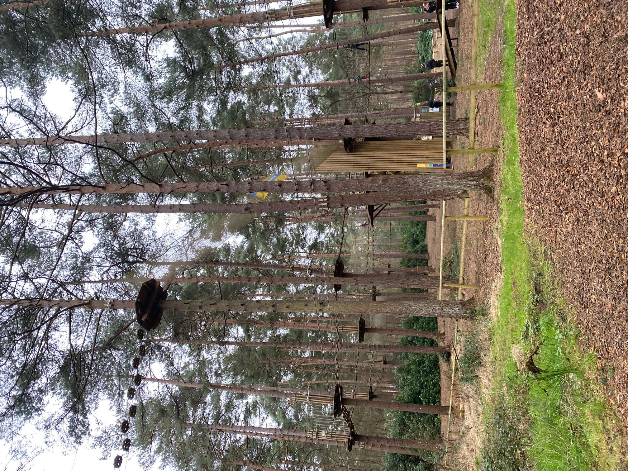 High Ropes - Go Ape Bracknell